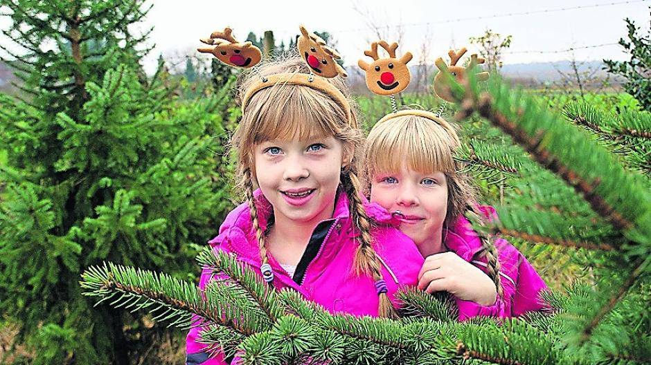 Die Zwillinge überlegen auch schon, welchen Wunsch sie wohl an den Baum hängen können.