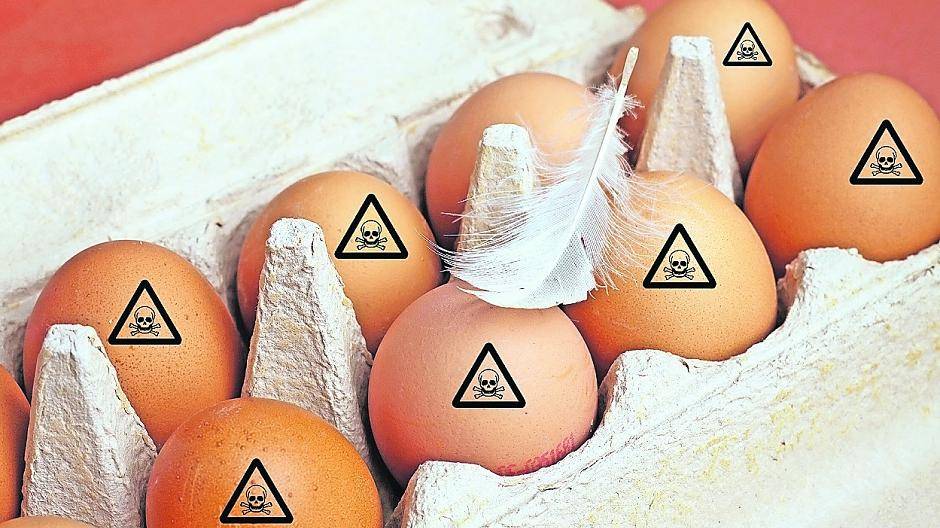 Was ist drin in unserem Essen - gesund oder chemisch verunreinigt? Am kommenden Dienstag ist Weltgesundheitstag mit dem Schwerpunkt Lebensmittelsicherheit!