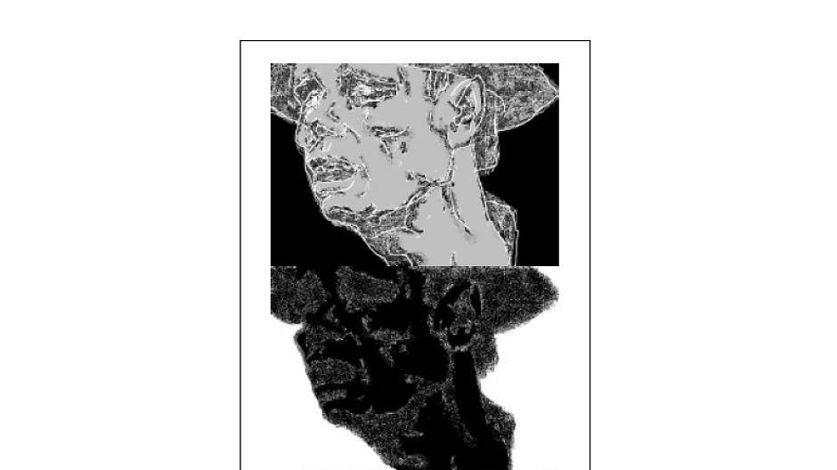  Die Beuys-Fahne von Marianne Reiners-Maaz. 