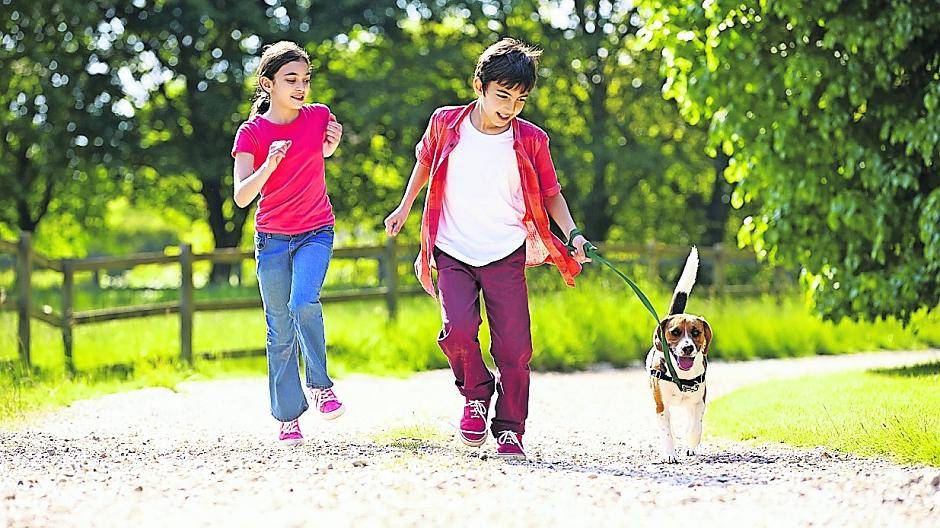 Tipps zum Umgang mit Hunden gibt der Workshop für Kinder und ihre Eltern.
