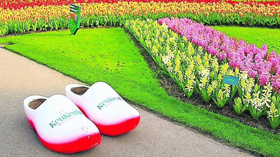 Mit einem Blumencorso ehrt der Keukenhof in diesem Jahr den Maler Vincent van Gogh.