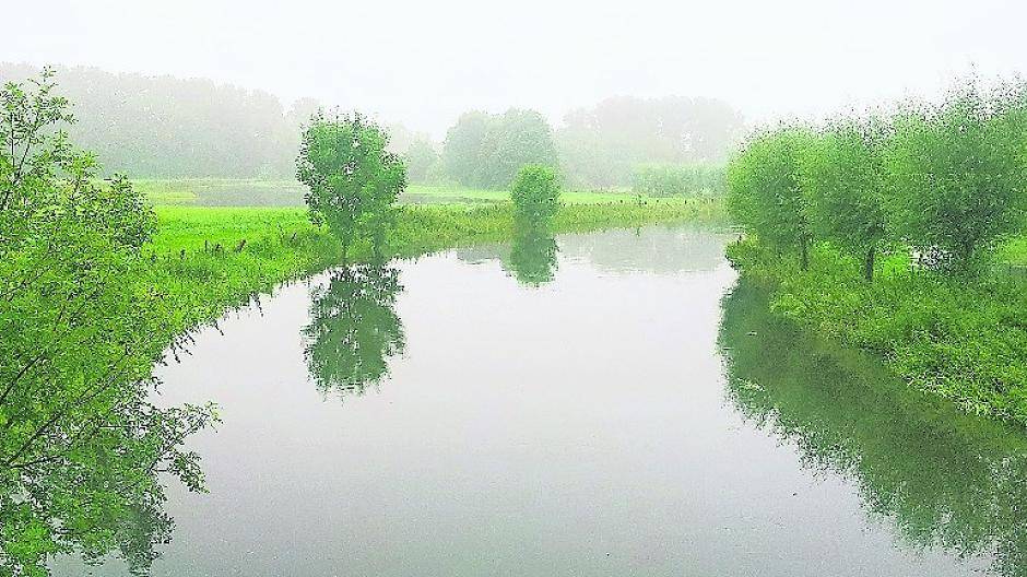  Die Niers, hier bei Oedt, soll noch sauberer werden. Über ein Online-Portal können die Bürgerinnen und Bürger hierfür Anregungen geben. 