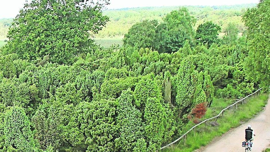 Naturerlebnis Grenzregion