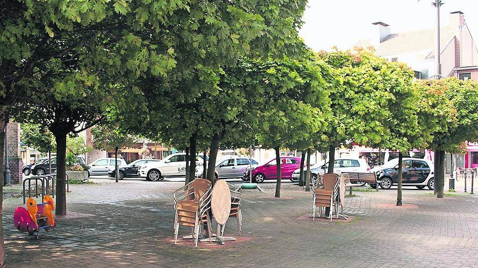  Dicht an dicht stehen die Kugelbäume an der östlichen und nördlichen Seite der St. Katharina-Kirche. 
