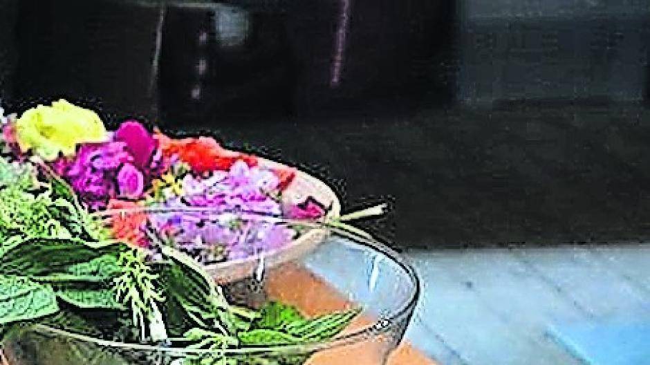 Zähne putzen mit Haselnussblättern