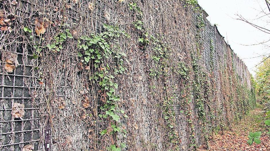Von unten wächst neues Efeu hoch, der größte Teil der Schallschutzmauer ist aber unbegrünt. Die Folie weist viele Löcher auf. Die Bewässerung — durch eine solarbetriebene Grundwasserpumpe (kleines Bild) — soll wieder funktionieren.