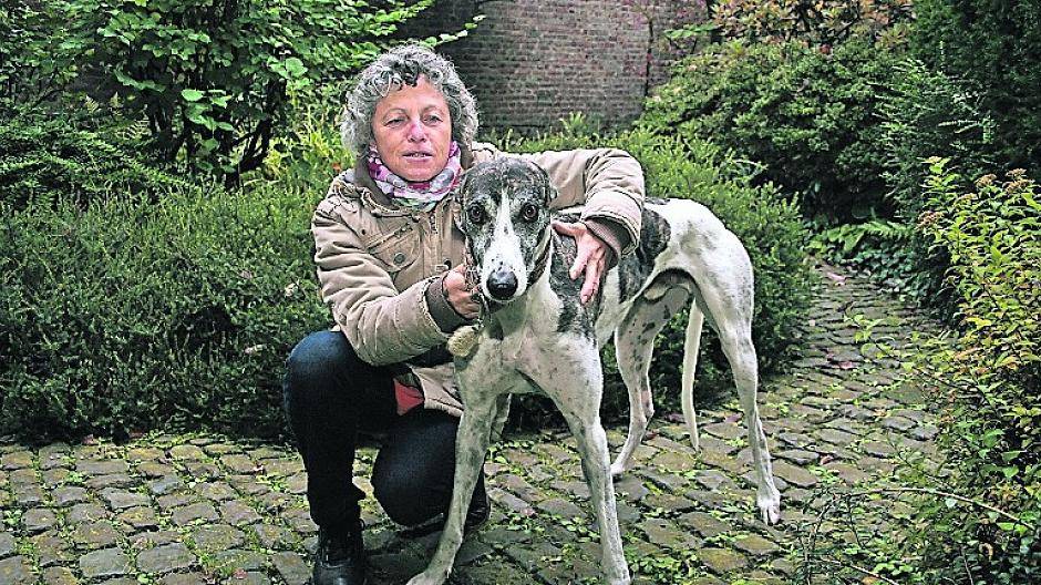  Greyhound Bob mit „Frauchen“ Stefanula Giannoulidis. 