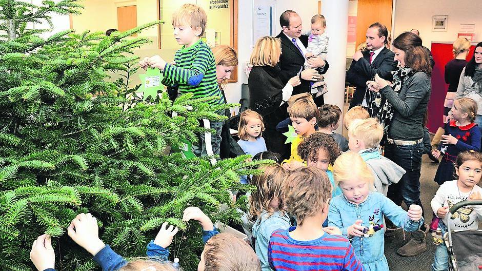 Auf zum Wunschsterne-Pflücken