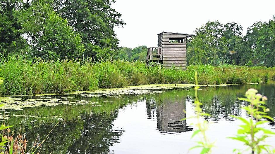  Ein wahres Schmuckstück hat Nettetal mit dem Rohrdommelprojekt. Von dem kleinen Turm lässt sich alles bestens beobachten. Jetzt wurde hier wieder randaliert. 