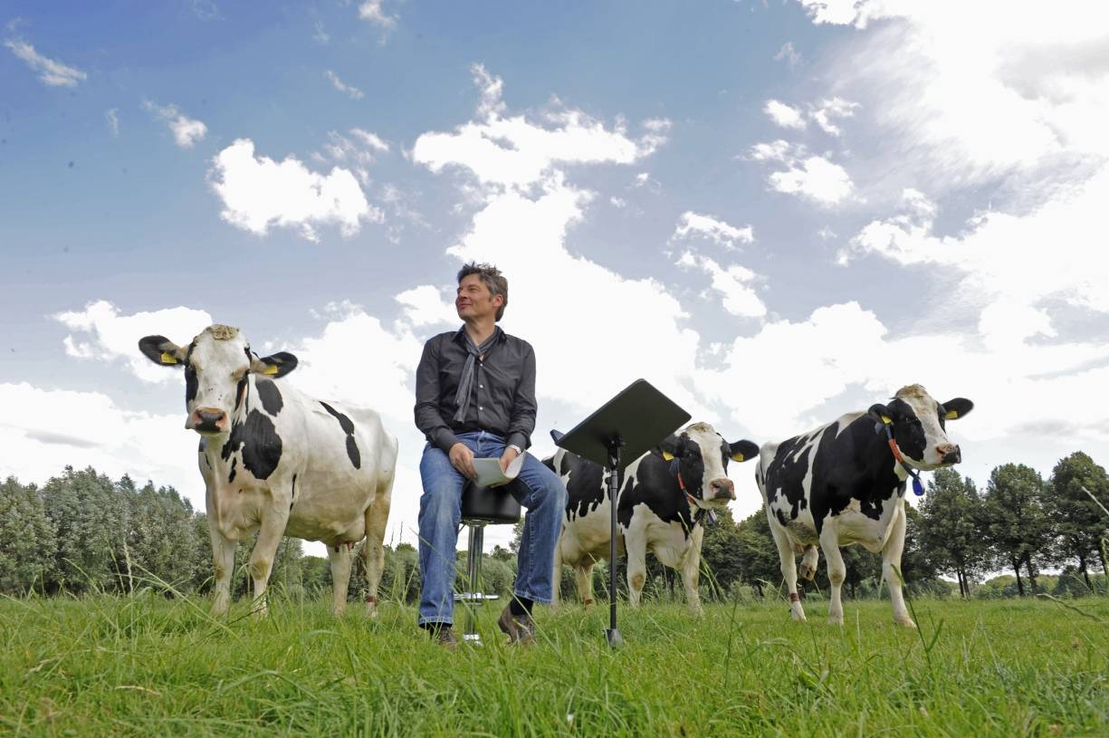 Verhasselt beleuchtet die große weite Welt