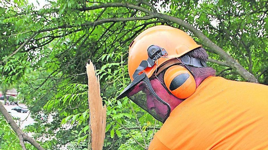 9.500 Euro Spenden bis jetzt eingegangen