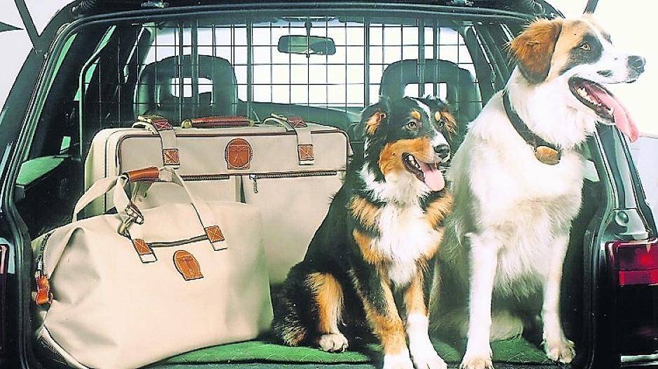 Bei der Reise sollte auch an