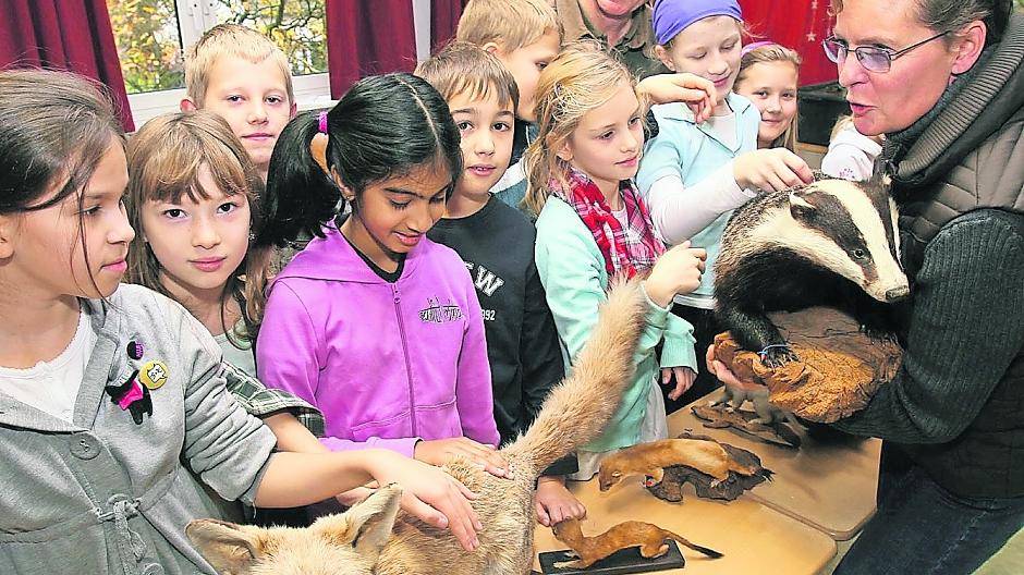 Über Flora und Fauna