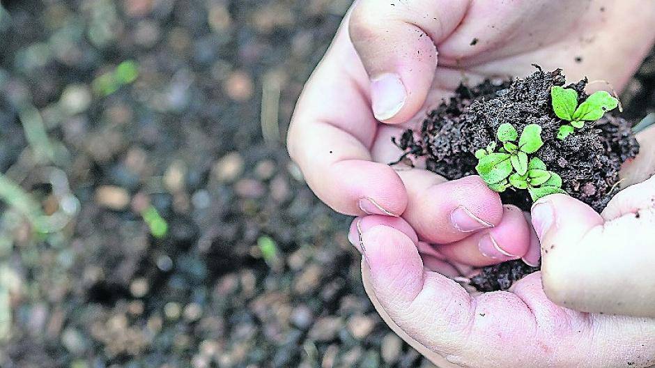 Am 9. Februar gibt es die erste Saatgut-Tauschbörse der Transition-Town-Initiative Mönchengladbach in der VHS.