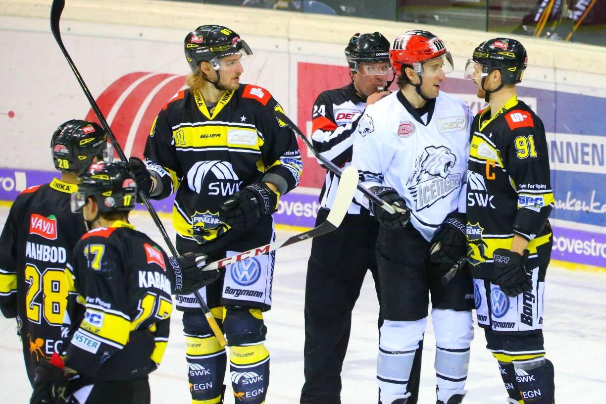 Pinguine: Wochen der Entscheidung