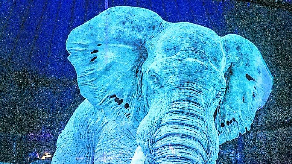 Echte Tiere gibt es im Circus Roncalli nicht, als weltweit erster arbeitet der Zirkus mit Holographien.