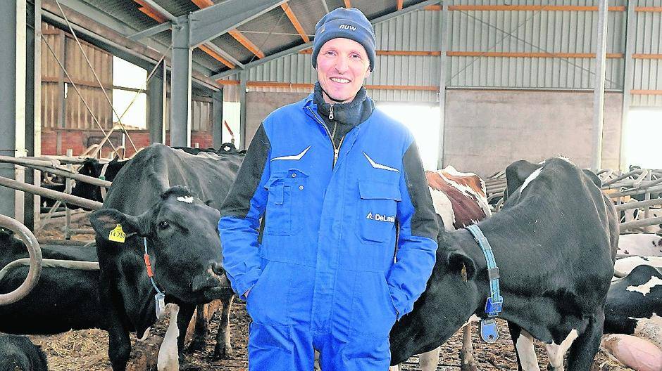 Bei Andreas Pflipsen im Stall geht es den Kühen gut, darauf legt der Landwirt besonderen Wert. Er sieht seinen Berufsstand mit Blick auf das Thema Nutztierhaltung in ein zu schlechtes Licht gerückt.