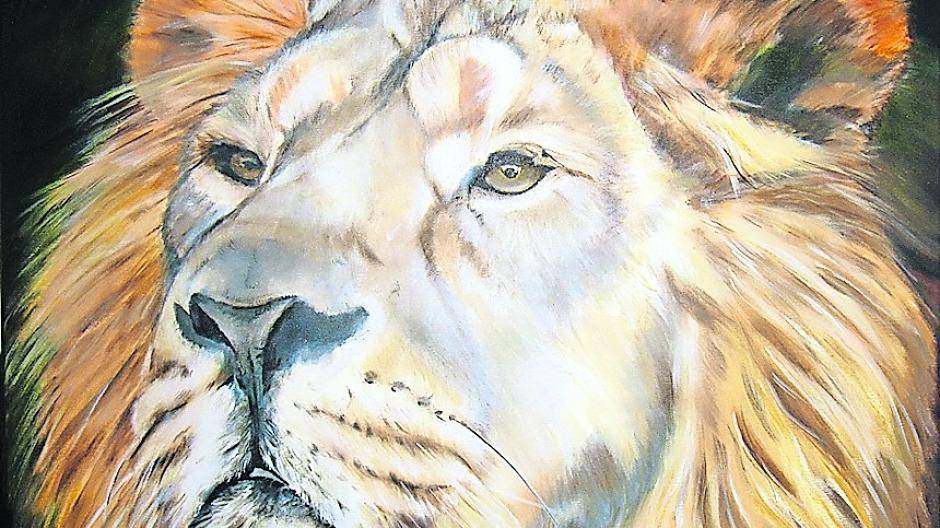 Der Löwe im Tierporträt.