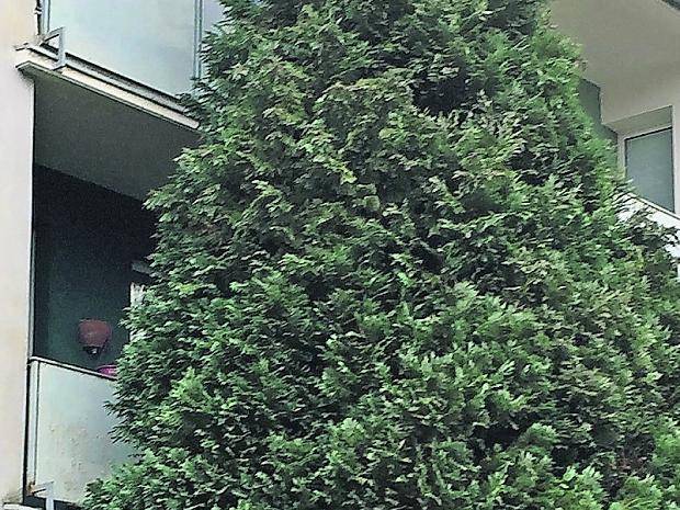  Dank LEG wie bei Hempels im Hof? Das muss nicht sein — aber die Mieter wollen eine angemessene Instandsetzung, keine teure „Modernisierung“. 