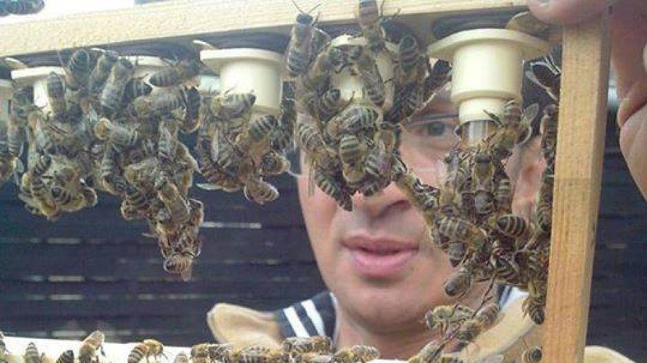 Imkerkurse für jedermann