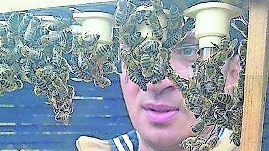  Gino Collica bei der Bienen-Königinnenzucht. 