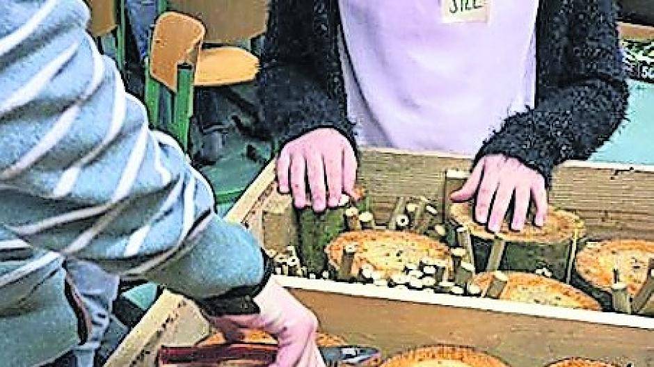 Die Dülkener Grundschüler führten viele Experimente zum Thema Umweltschutz durch.