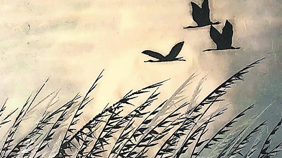  Foto: Lydia Hellfeier 