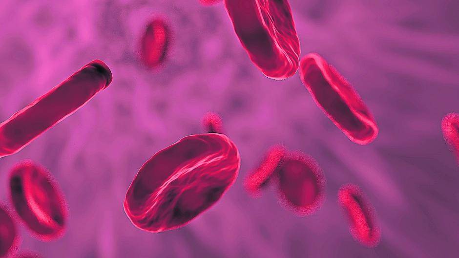 Erkrankungen des Blutes sind heute besser denn je erforscht.