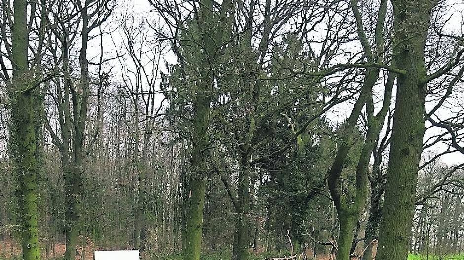  Im Januar 2018 fanden die mags-Mülldetektive 23 Kühlschränke im Wickrather Busch. 