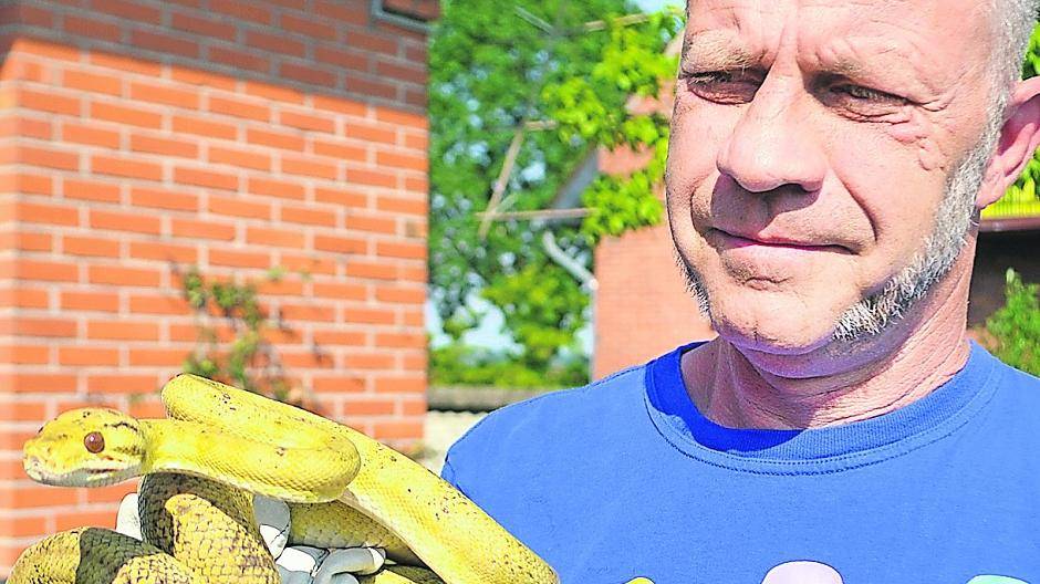 René Liedtke aus Nettetal mit einem wunderschönen Garten-Boa-Weibchen, das etwa 1,80 Meter lang ist.