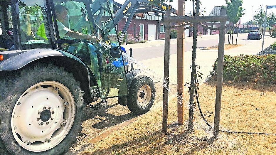 Dringend benötigte Hilfe in diesen Tagen: Gerade junge Bäume müssen gewässert werden.  