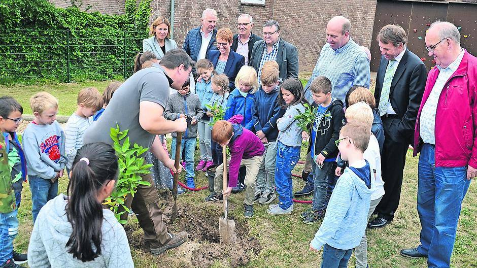  Beim Pflanzen des Mispelstrauches durften die Kinder der Agnes-Brakel-Schule kräftig mithelfen. 