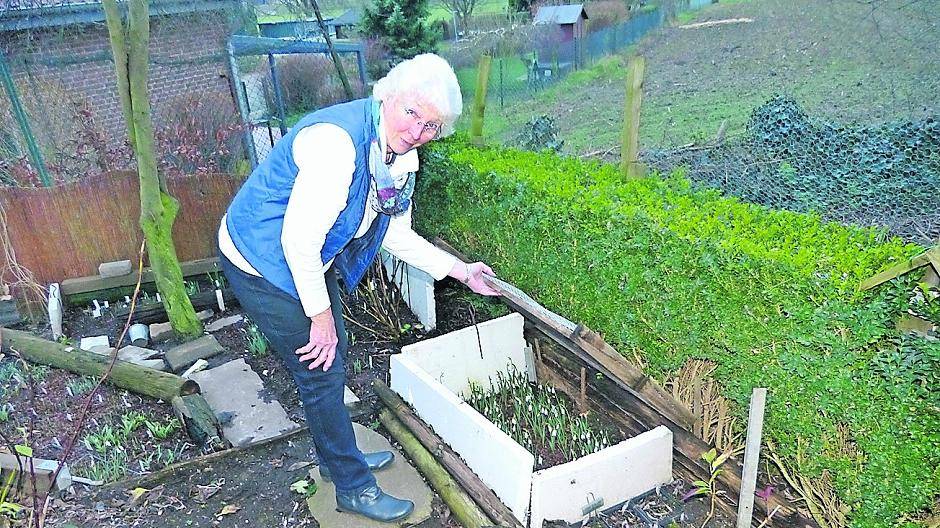 Zum letzten Mal lädt Marlu Waldorf zu den Schneeglöckchentagen ins Hinsbecker Oirlich ein. Im nächsten Jahr finden die Scheeglöckchentage im Kloster Knechtsteden bei Dormagen statt.
