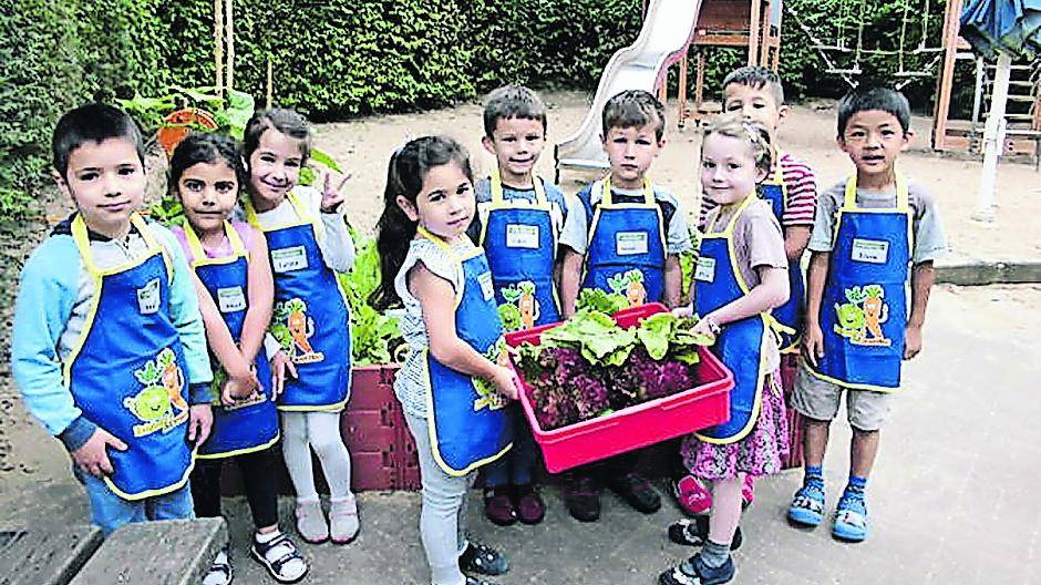 Die Kinder der Kita „Kunterbunt“ freuten sich über die erste Ernte aus ihrem Hochbeet.