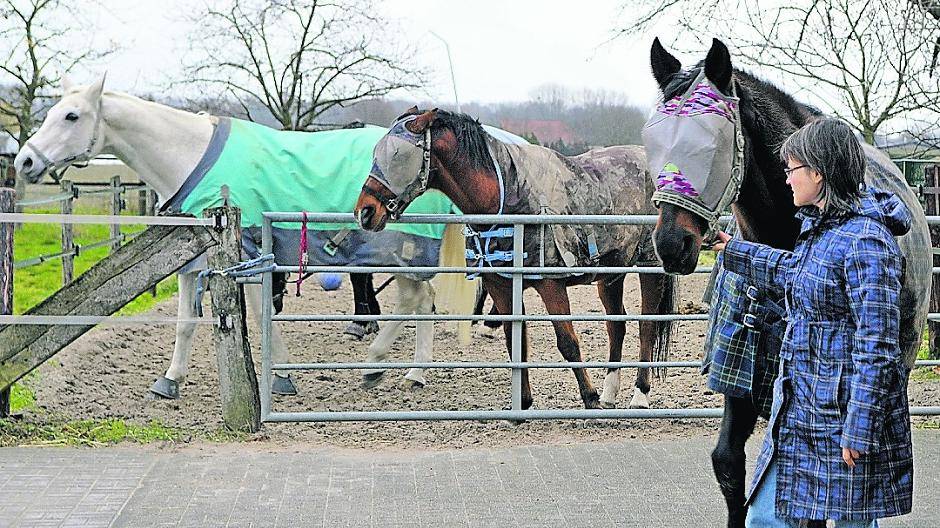  Wenn Not am „Mann“ ist, muss Petra Wintersohl aus Drolshagen kommen, um die Pferde zu versorgen. Ehrenamtler sind rar und machen auch mal Urlaub... Pferde-Omi Lisa, 26, ist der „jüngste“ Zugang auf dem Pferdeschutzhof. 