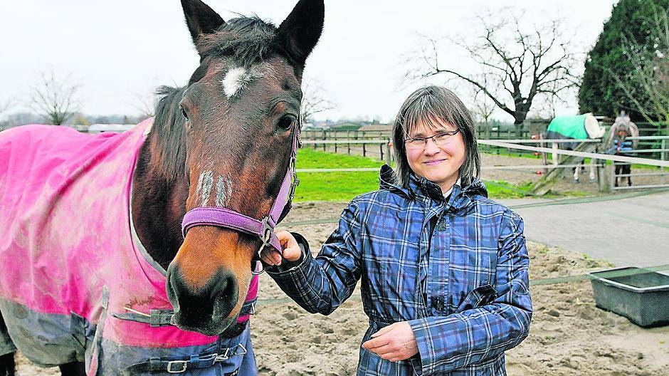  Einige der alten Pferde haben empfindliche Augen und tragen deshalb auch in der fliegenfreien Zeit eine durchsichtige Fliegenmaske als Windschutz. 