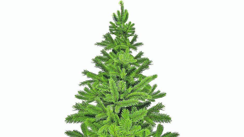 Heiligabend nadellos?