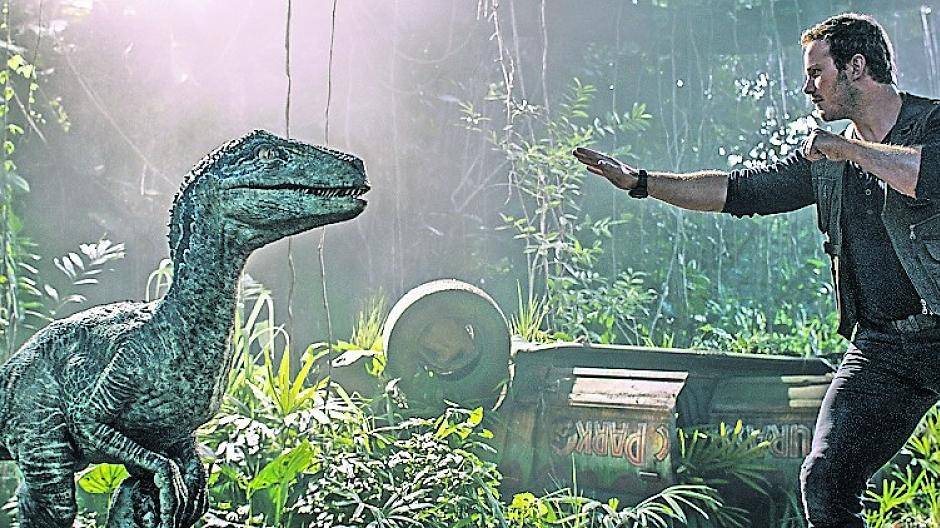 Wiedermal muss sich Owen (Chris Pratt) gegen allerhand gefährliche Urzeit-Echsen behaupten.