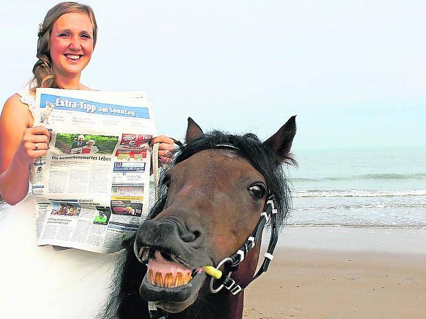 Das Siegerfoto 2017: Janina Iven und Pony Joker am Strand von Nieuwvliet/Holland.