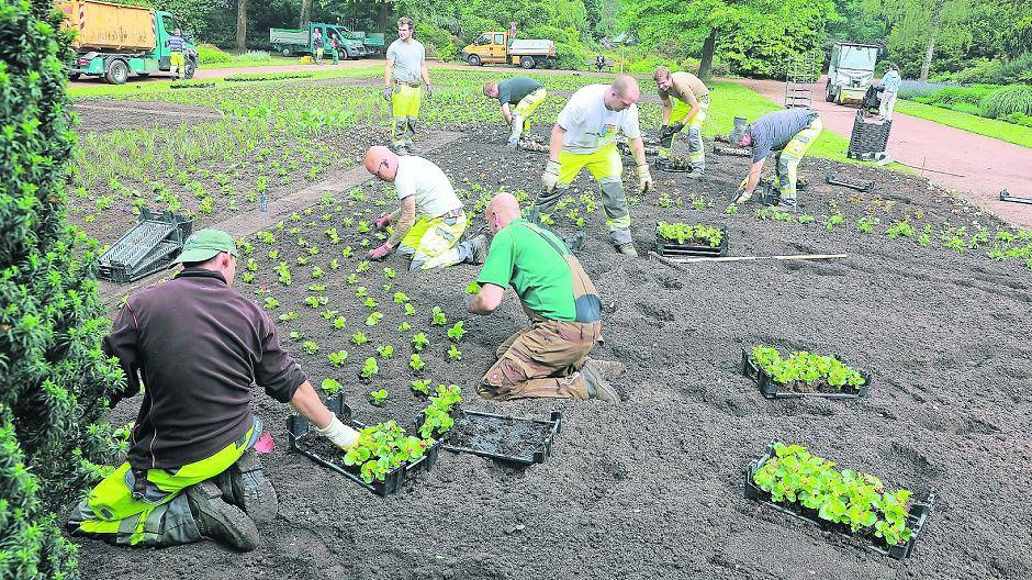 Der Sommer hält Einzug