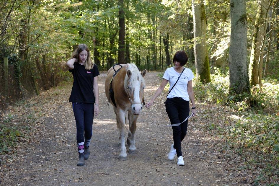 So ein Ründchen soll bald nicht mehr möglich sein: Nach dem Willen der Stadt sind Ponyspaziergänge demnächst nur noch mit fachkundiger Begleitung erlaubt.