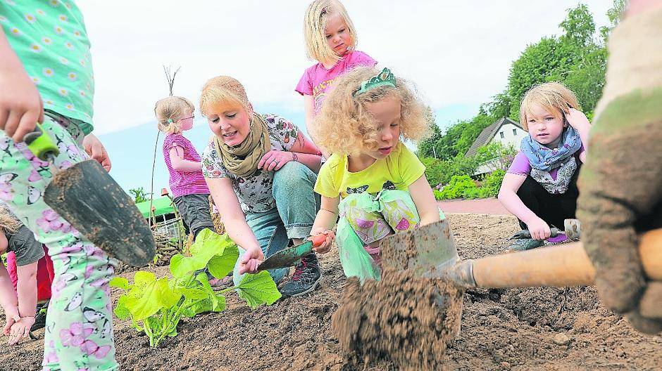 Mit viel Eifer sind die Nachwuchsgärtner in der Kleingartenanlage zum Burggrafen in Odenkirchen bei der Sache.