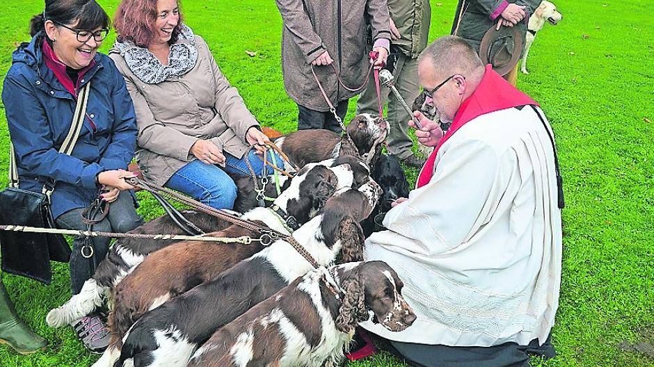  Auch Vierbeiner sind Geschöpfe Gottes — die Oblatenmissionare auf den Spuren von Franz von Assisi. 