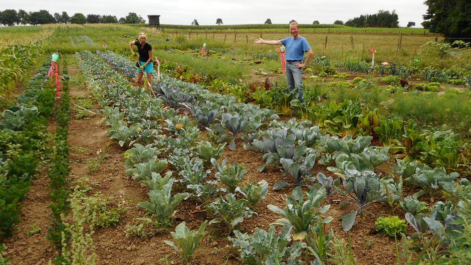 Von Mai bis Oktober können die Teilnehmer mehr als 20 verschiedene Sorten Gemüse und Kräuter ernten.
