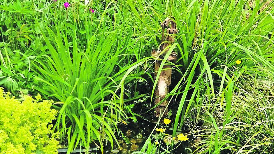  Viele Sitz- und Aufenthaltsmöglichkeiten: Der Garten der Familie Klein in der Nähe des Borussia-Parks ist ein Kleinod. 