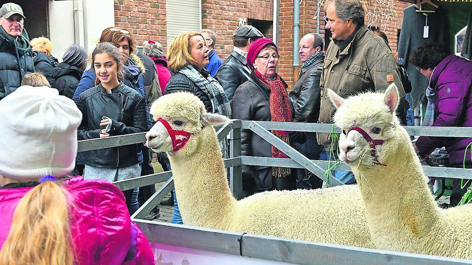 Abwechslungsreiches Angebot