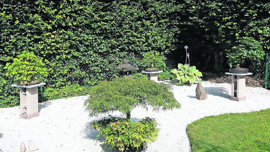 Der Garten von Maureen und Ralf Bohnen an der Sonnenstraße ist nicht sehr groß, aber außergewöhnlich.