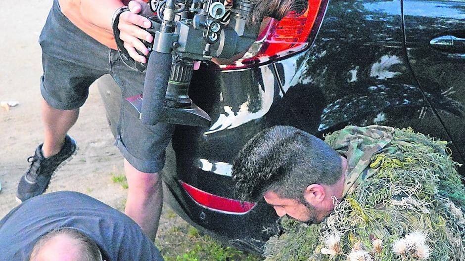 Pfau „Roy“ schafft es bis ins ZDF