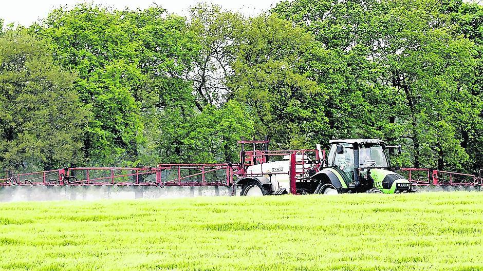  Der Einsatz von Glyphosat in der Landwirtschaft ist umstritten. Heute Abend diskutieren die Mönchengladbacher Politiker über den Einsatz des Herbizids in der Stadt. 