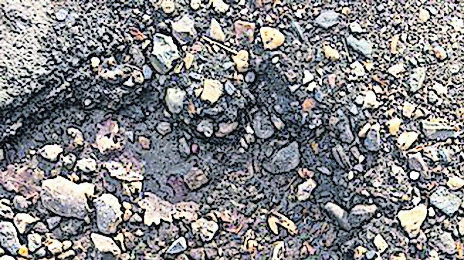  Beschädigte Felge und Reifen: Etwa 13 Zentimeter tief war das Schlagloch, in das Alexander Trainer hier zum Größenvergleich seinen Fuß platziert hat. 